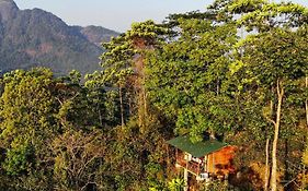 Tree Houses By Jungle River